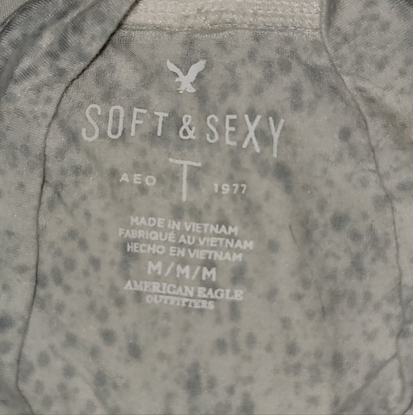 American Eagle Outfitters Gray Short Sleeve Tee - Picture 4 of 5